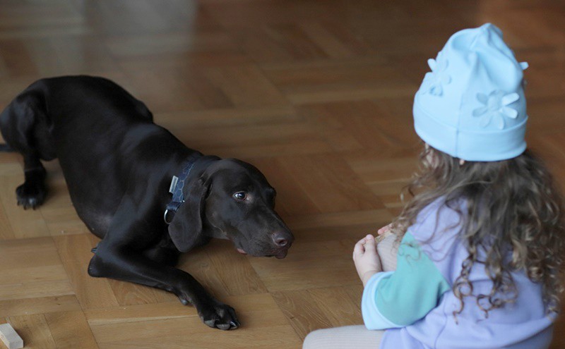CZAPKA DLA DZIEWCZYNKI CLARA PUPILL Pupill - 5
